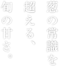 葱の常識を超える、旬の甘さ。