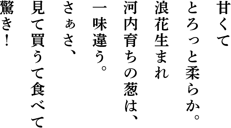 甘くてとろっと柔らか。浪花生まれ河内育ちの葱は、一味違う。さぁさ、見て買うて食べて驚き!